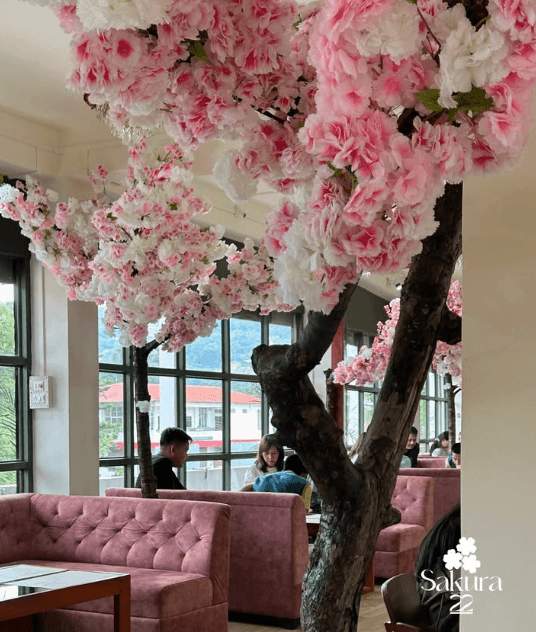 Sakura 22