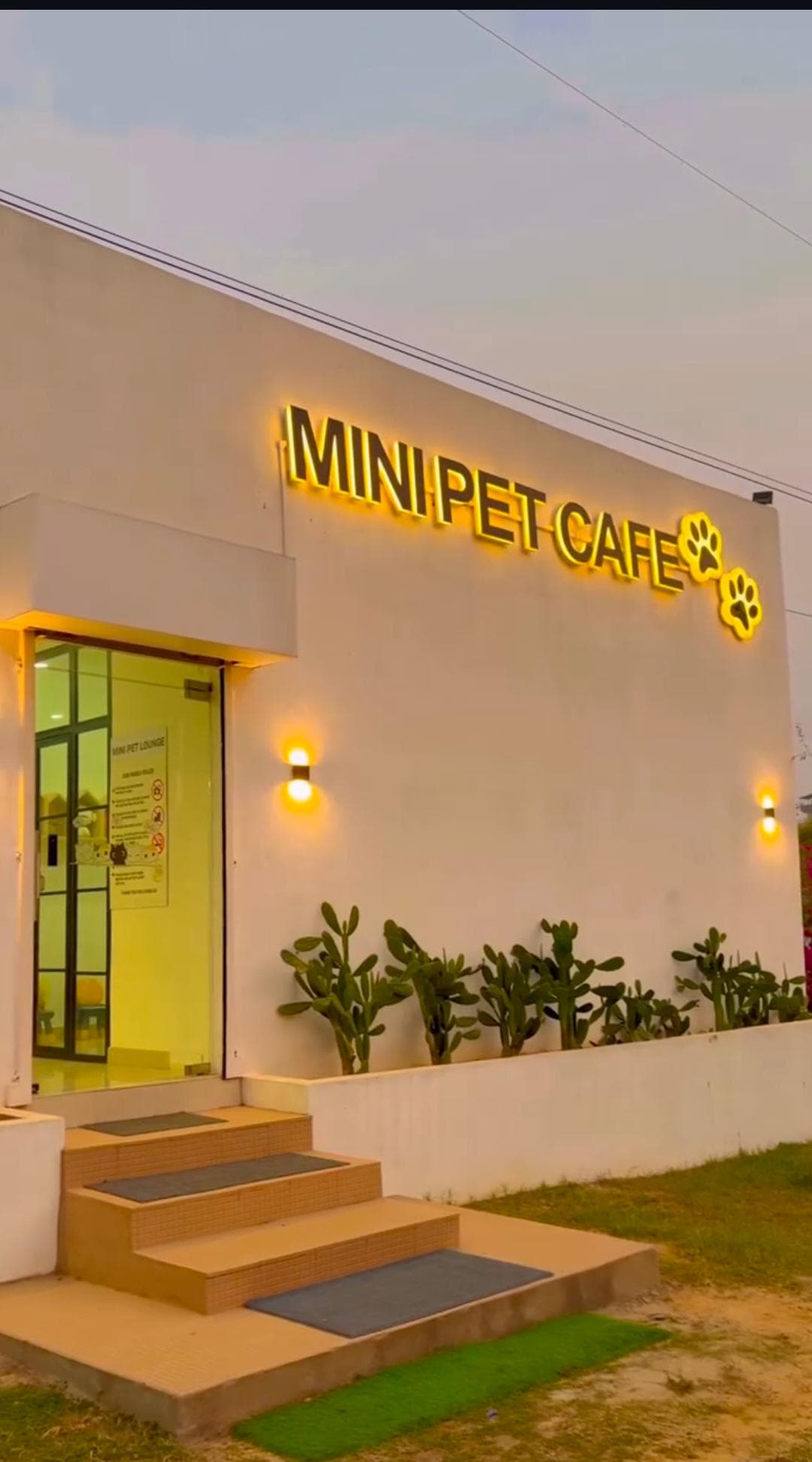 Mini Pet Cafe